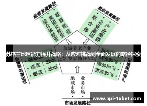 苏格兰地区能力提升战略：从应对挑战到全面发展的路径探索