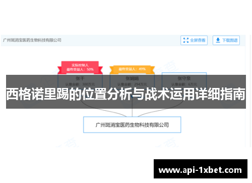 西格诺里踢的位置分析与战术运用详细指南